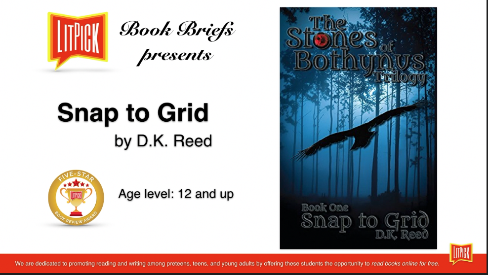 Snap to Grid by D. K. Reed LitPick Student Book Reviews